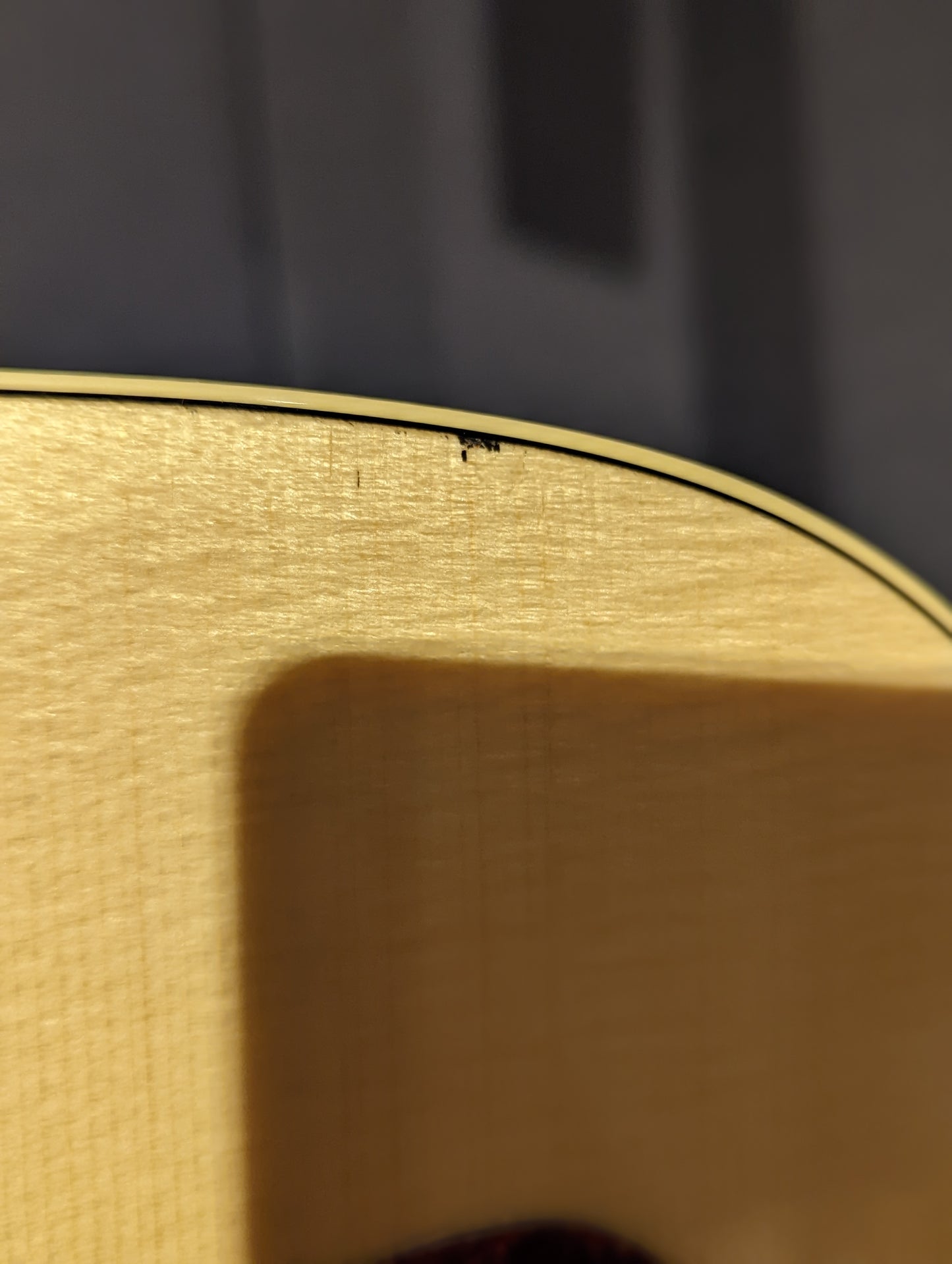 Norman B20 Natural GT Presys II SF