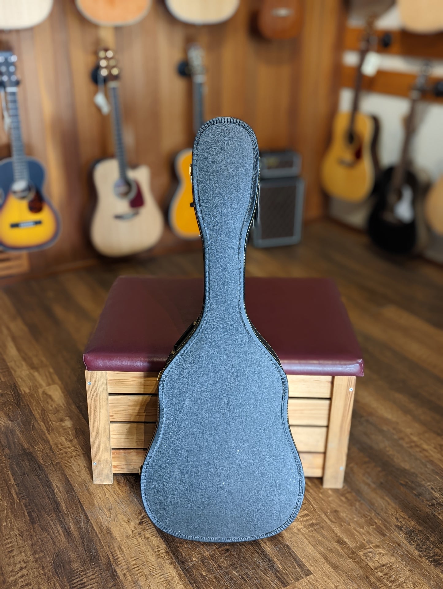 El Degas MT4N Acoustic Guitar w/Case (Used)