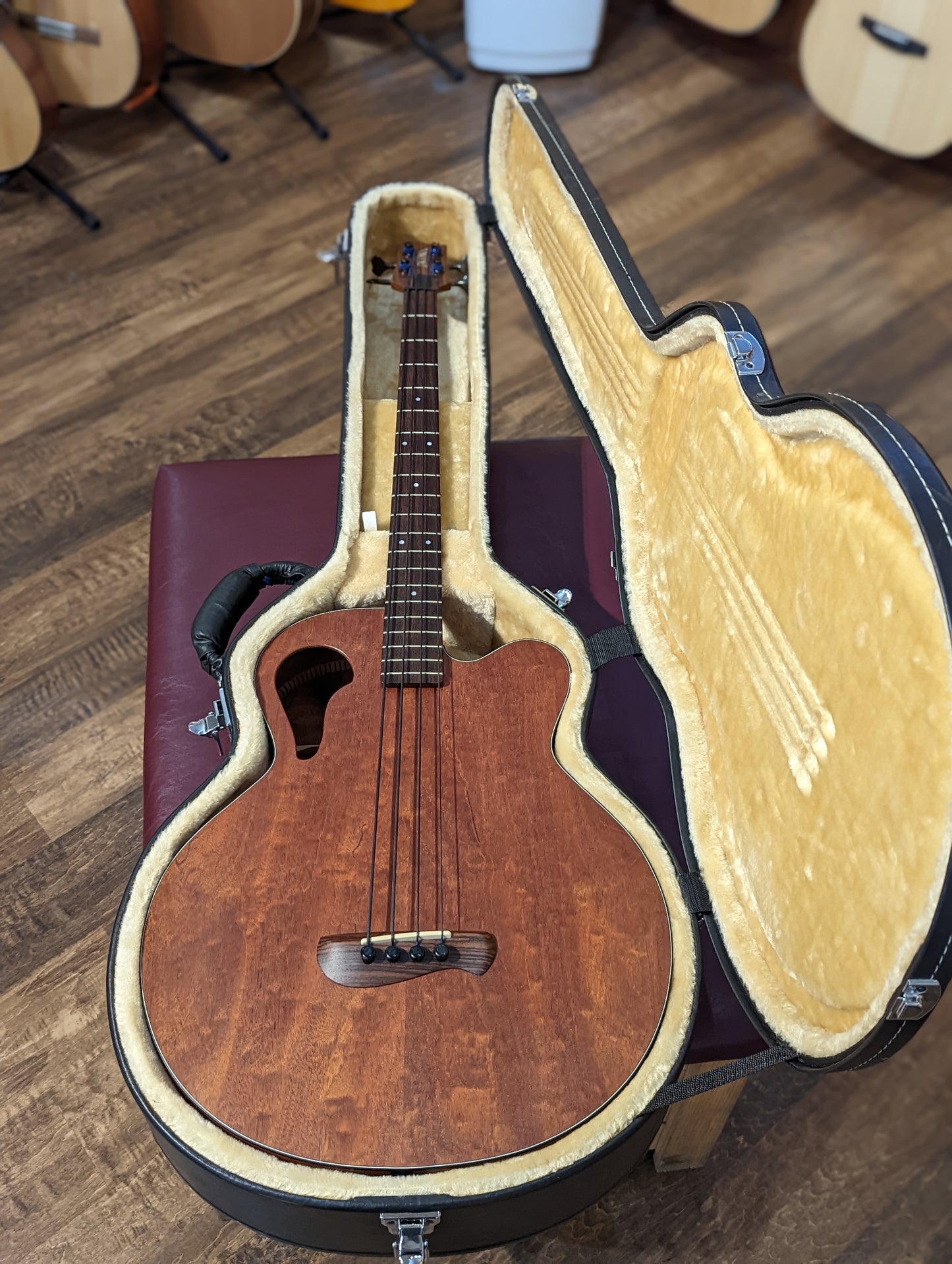 Tacoma CBM15C Thunderchief Acoustic/Electric Bass w/Case (2004)