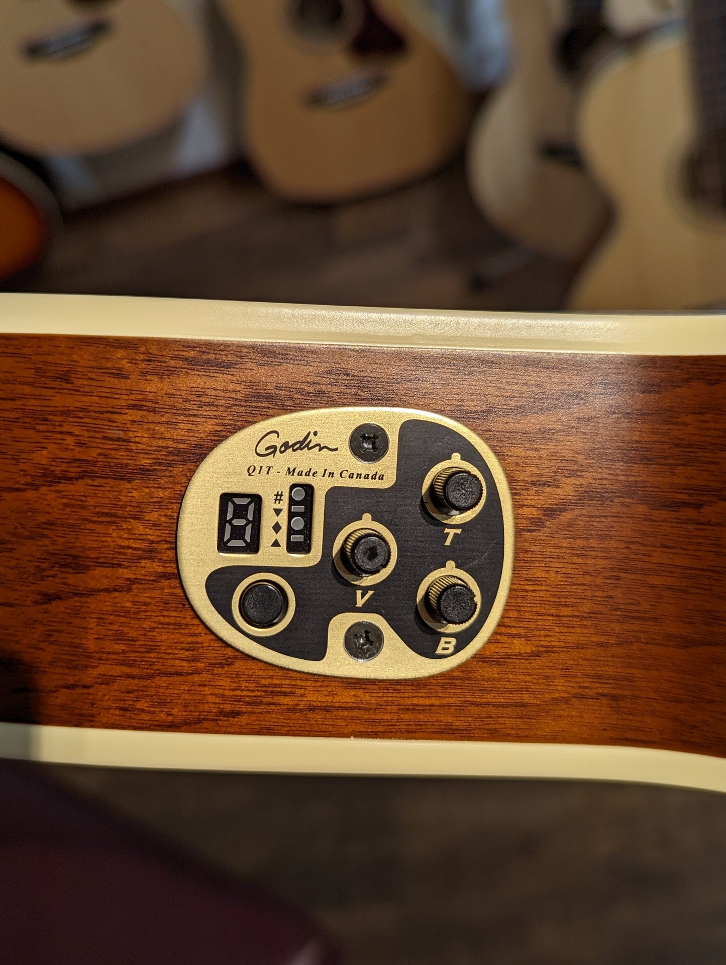 Godin Arena CW QIT Acoustic/Electric Nylon String Guitar (Used)