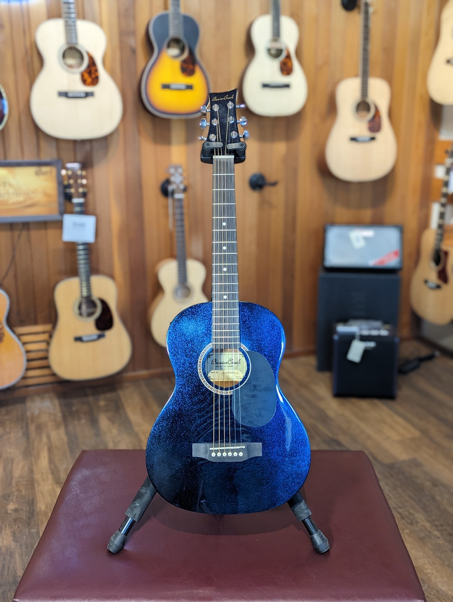 Beaver Creek 3/4 Acoustic Guitar w/Gig Bag - Chameleon Metallic