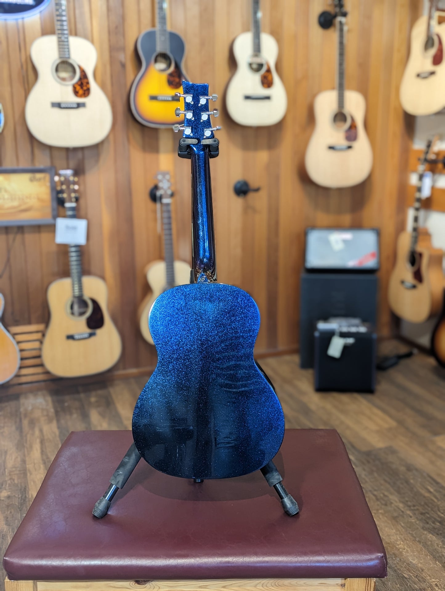 Beaver Creek 3/4 Acoustic Guitar w/Gig Bag - Chameleon Metallic