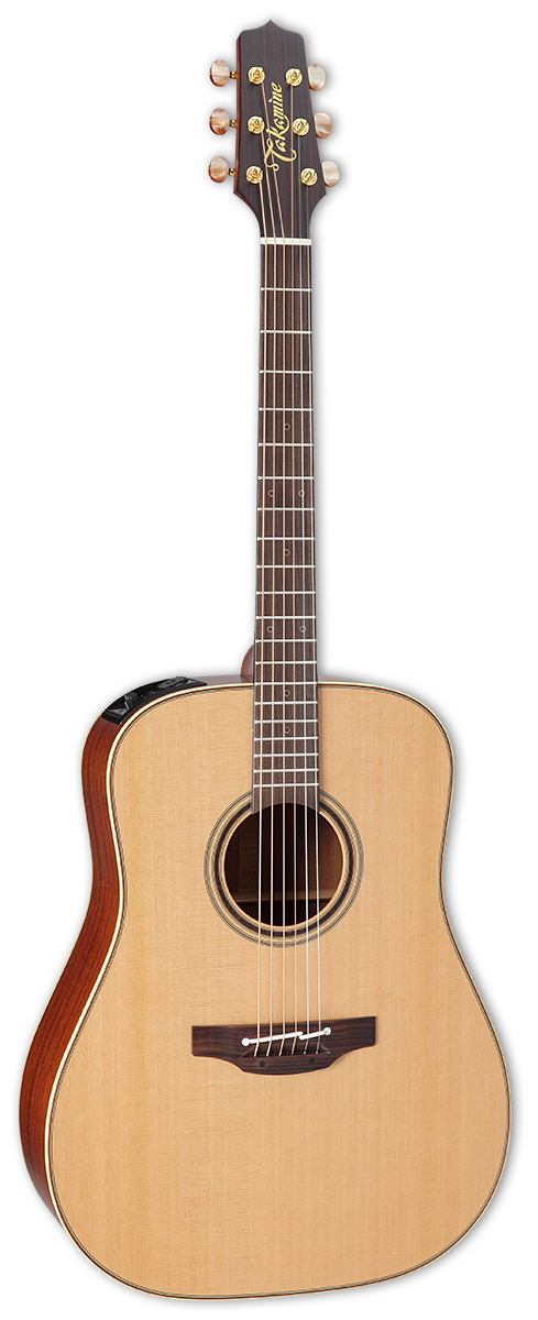 Takamine P3D Acoustic/Electric Guitar