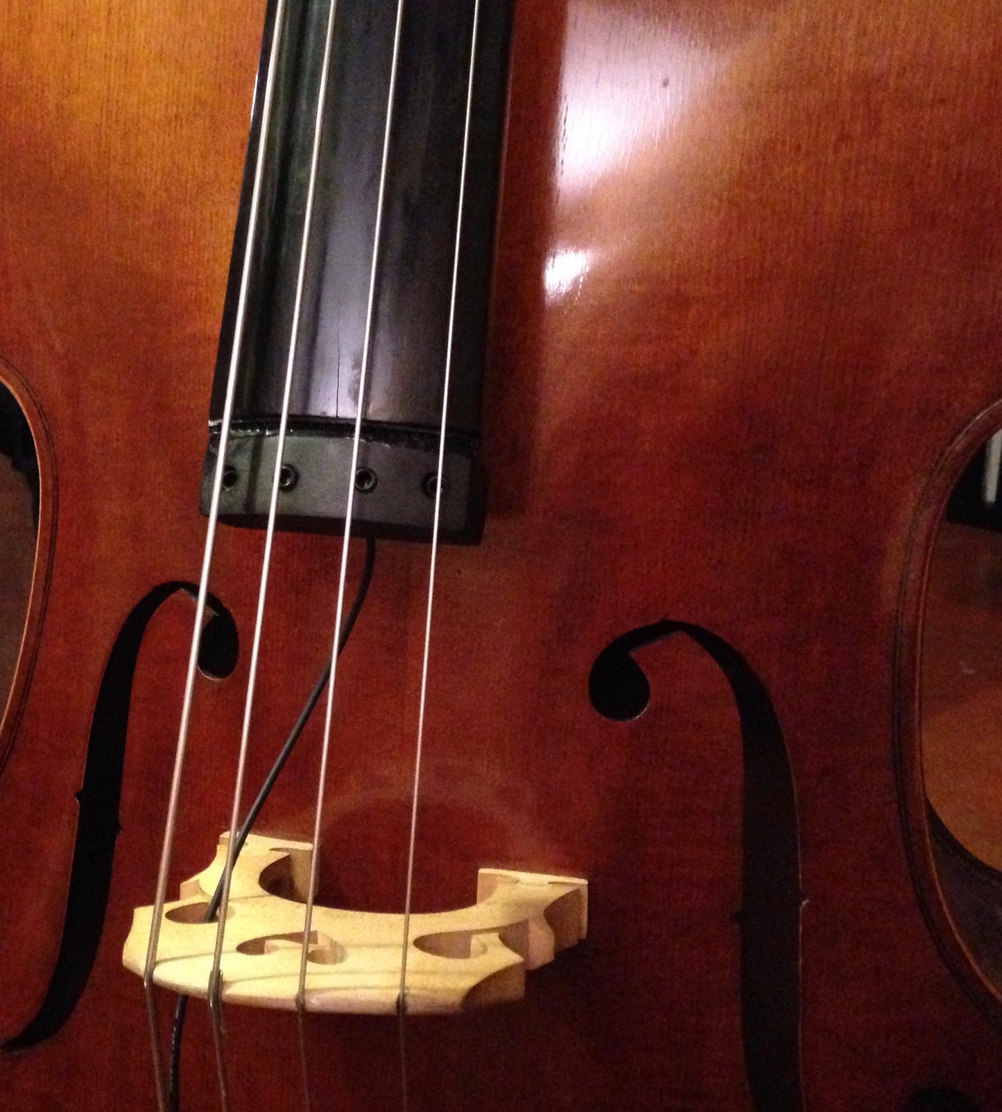 Krivo Upright Bass Pickup