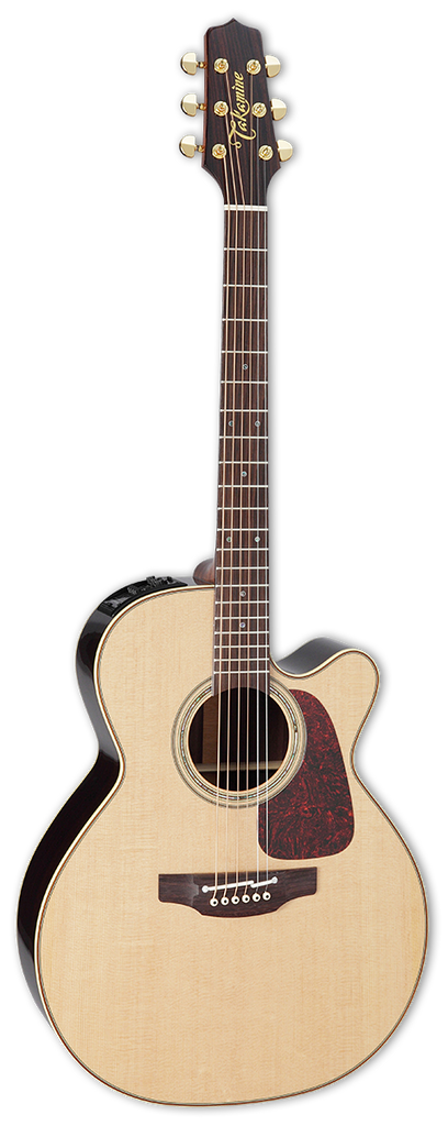Takamine P5NC Acoustic/Electric Guitar