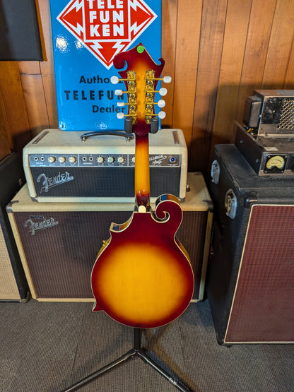 Denver F-Style Mandolin w/Gig Bag & Strap - Sunburst (Used)