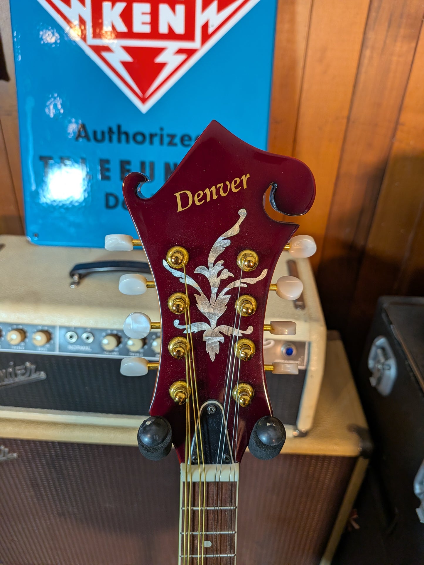 Denver F-Style Mandolin w/Gig Bag & Strap - Sunburst (Used)