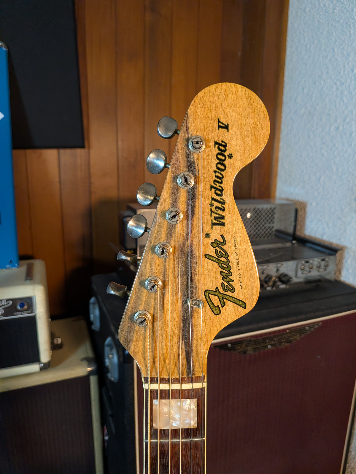 Fender Wildwood I Acoustic Guitar w/Case - Rainbow Greens (1966-1971)