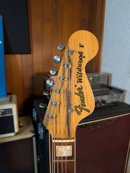 Fender Wildwood I Acoustic Guitar w/Case - Rainbow Greens (1966-1971)