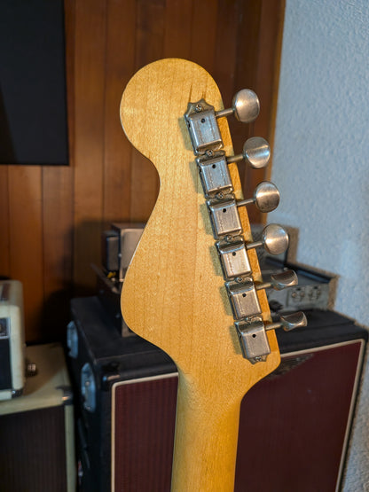 Fender Wildwood I Acoustic Guitar w/Case - Rainbow Greens (1966-1971)