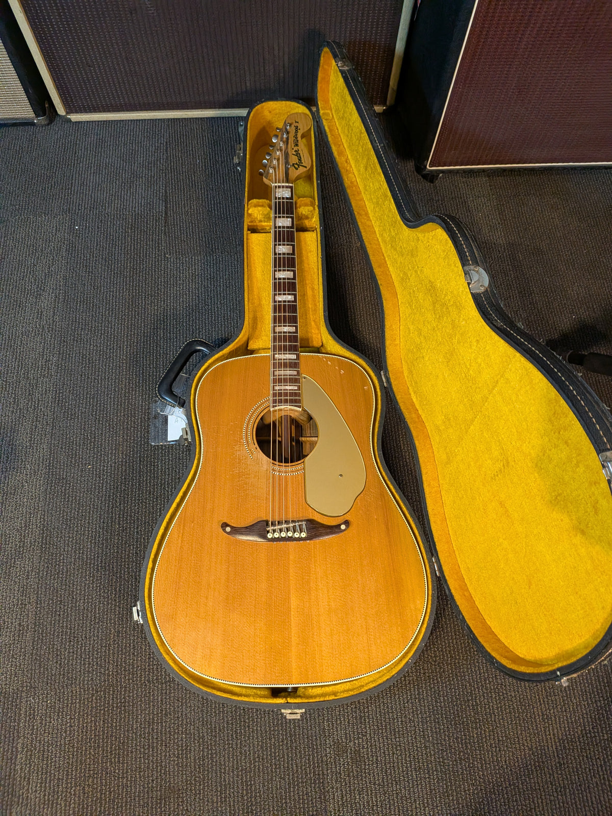Fender Wildwood I Acoustic Guitar w/Case - Rainbow Greens (1966-1971)