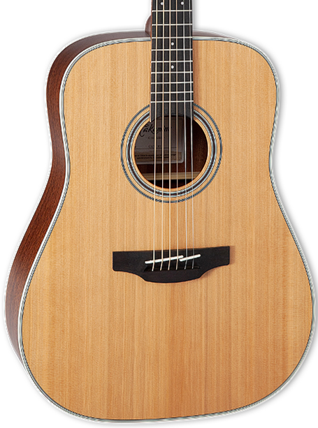 Takamine GD20-NS Acoustic Guitar - Natural