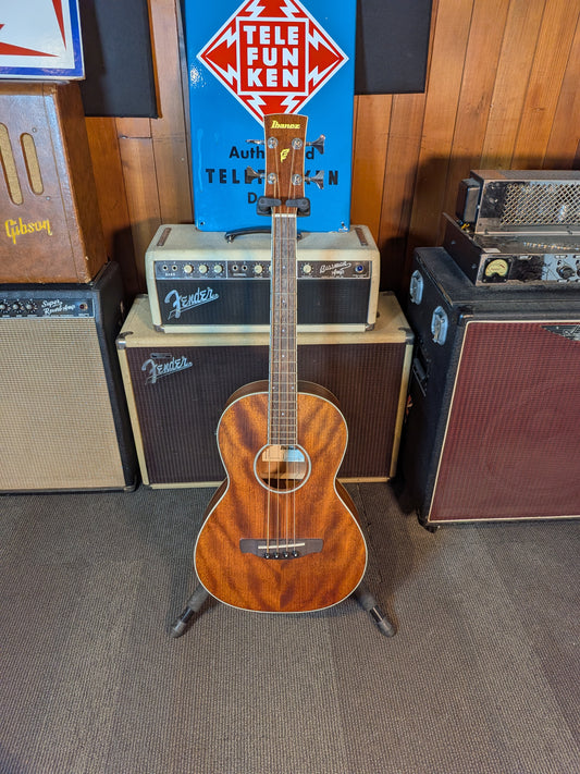 Ibanez PNB14E Shortscale Acoustic/Electric Bass w/Gig Bag - Open Pore Natural (Used)