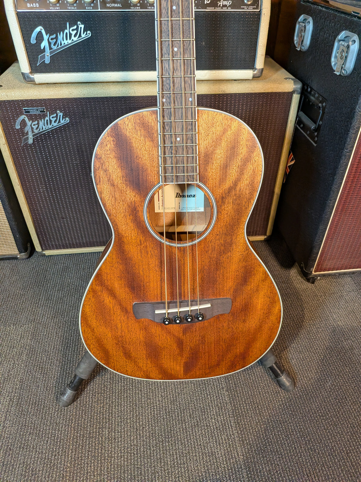Ibanez PNB14E Shortscale Acoustic/Electric Bass w/Gig Bag - Open Pore Natural (Used)