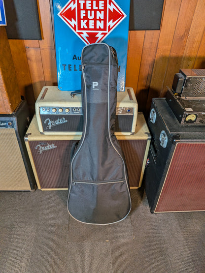 Ibanez PNB14E Shortscale Acoustic/Electric Bass w/Gig Bag - Open Pore Natural (Used)