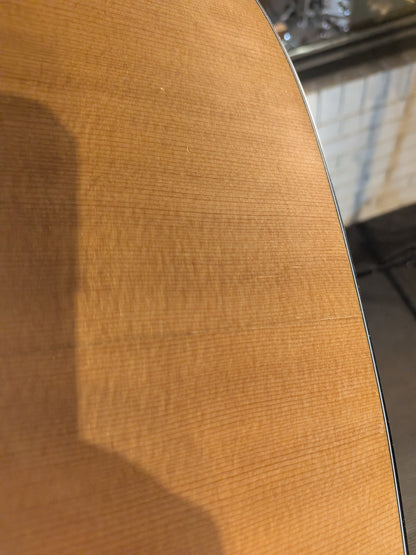 Taylor 110ce Acoustic/Electric Guitar w/Gig Bag - Natural (2012)