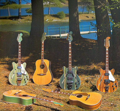 Fender Wildwood I Acoustic Guitar w/Case - Rainbow Greens (1966-1971)