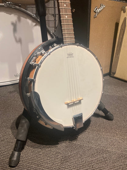 Fender Closed Back Banjo w/Gig Bag (Used)