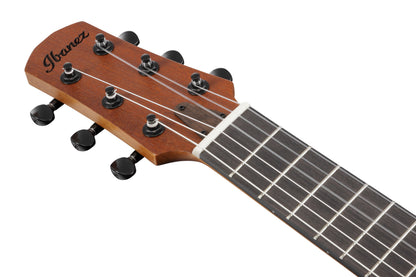 Ibanez AUP10N Compact Nylon String Guitar w/Gig Bag - Open Pore Natural