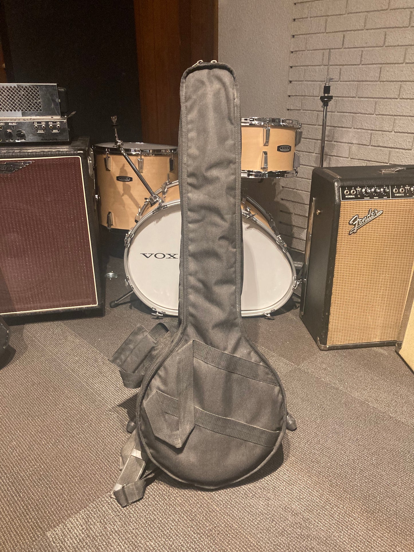 Fender Closed Back Banjo w/Gig Bag (Used)