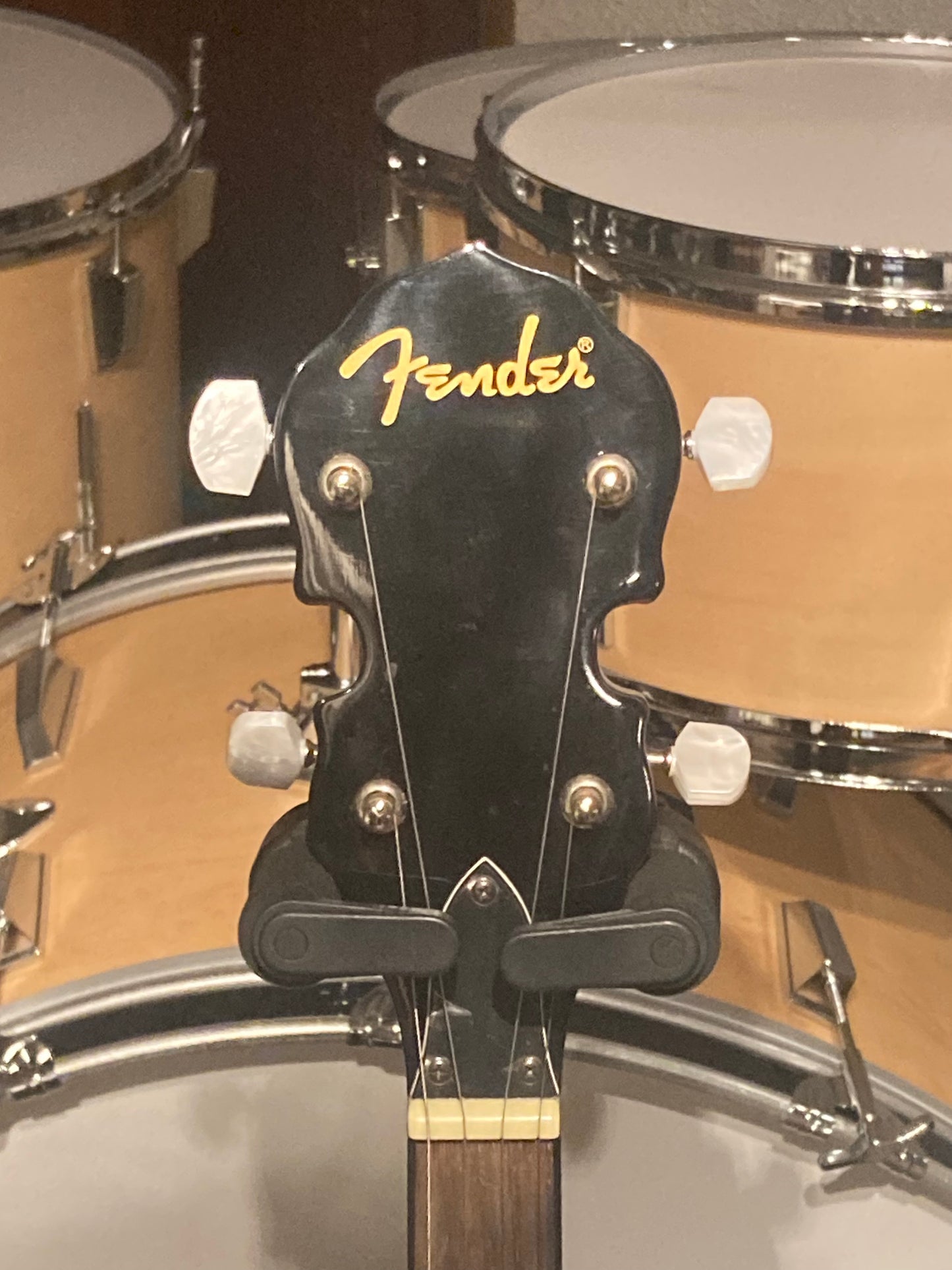 Fender Closed Back Banjo w/Gig Bag (Used)