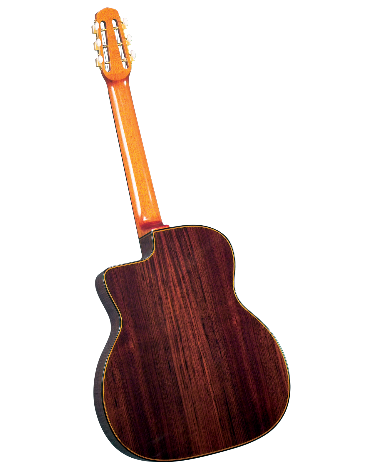 Gitane D-500 Professional Gypsy Jazz Guitar w/Gig Bag