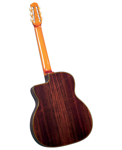 Gitane D-500 Professional Gypsy Jazz Guitar w/Gig Bag