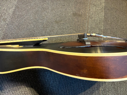 Goldtone F-6 F-Style Mando-Guitar w/Pickup & Case - Sunburst (Used)