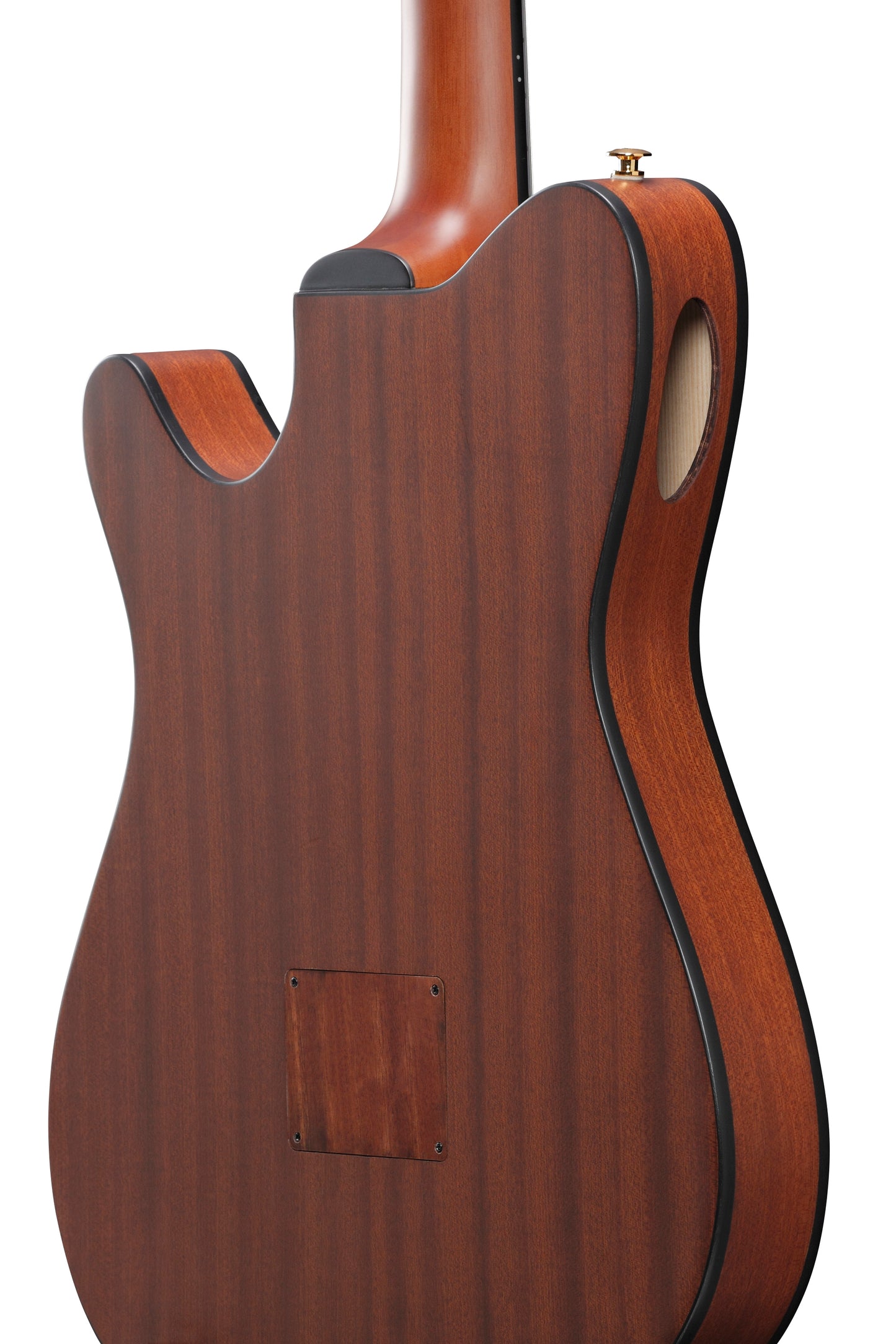 Ibanez FRH10N Acoustic/Electric Nylon String Guitar - Natural Flat