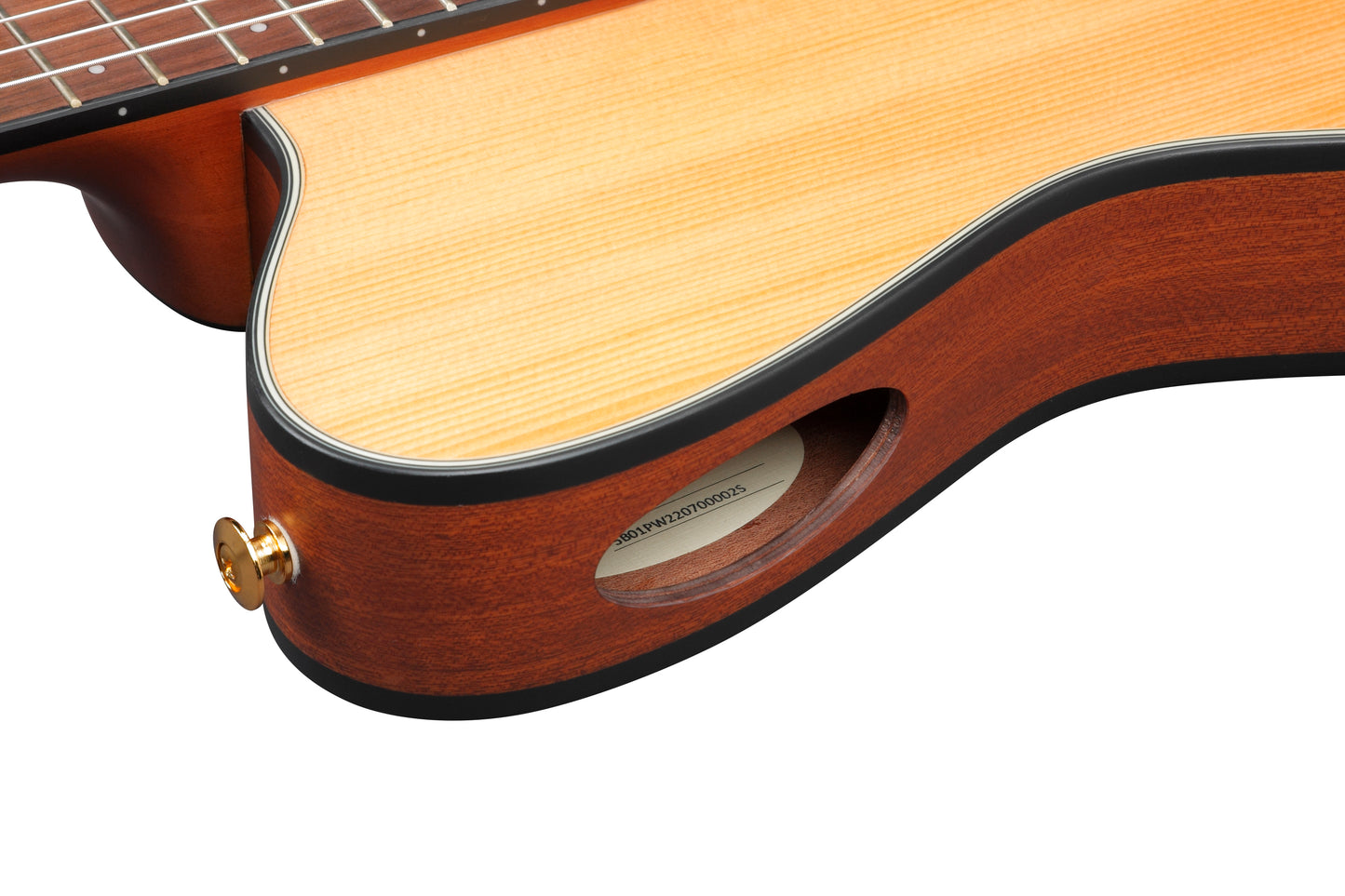 Ibanez FRH10N Acoustic/Electric Nylon String Guitar - Natural Flat