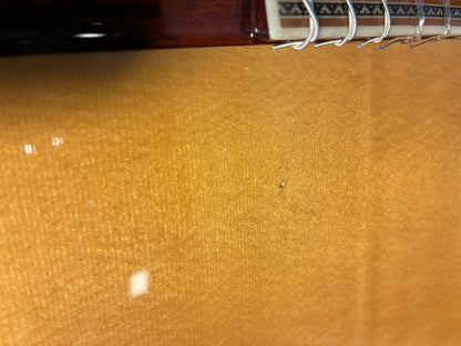 Alhambra Línea Profesional Classical Guitar w/Case (Used)