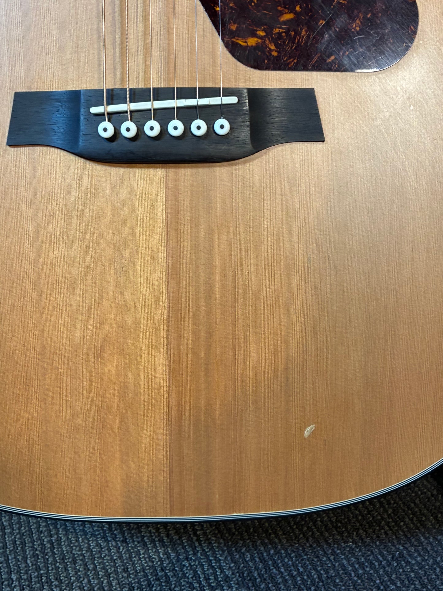 Walden Natura D570 Dreadnought Acoustic Guitar (Used)