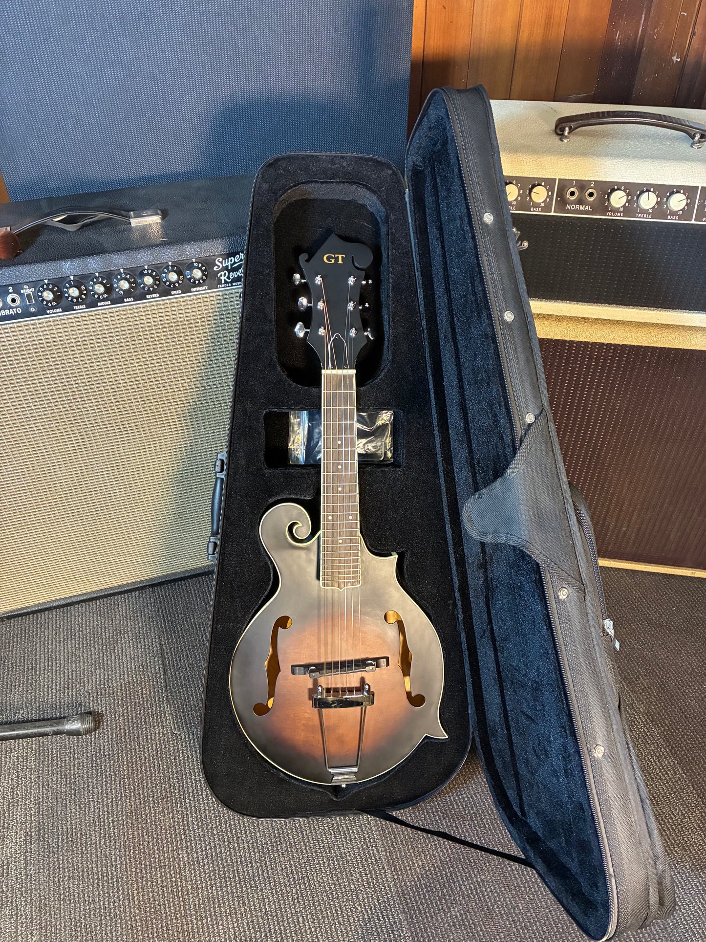 Goldtone F-6 F-Style Mando-Guitar w/Pickup & Case - Sunburst (Used)