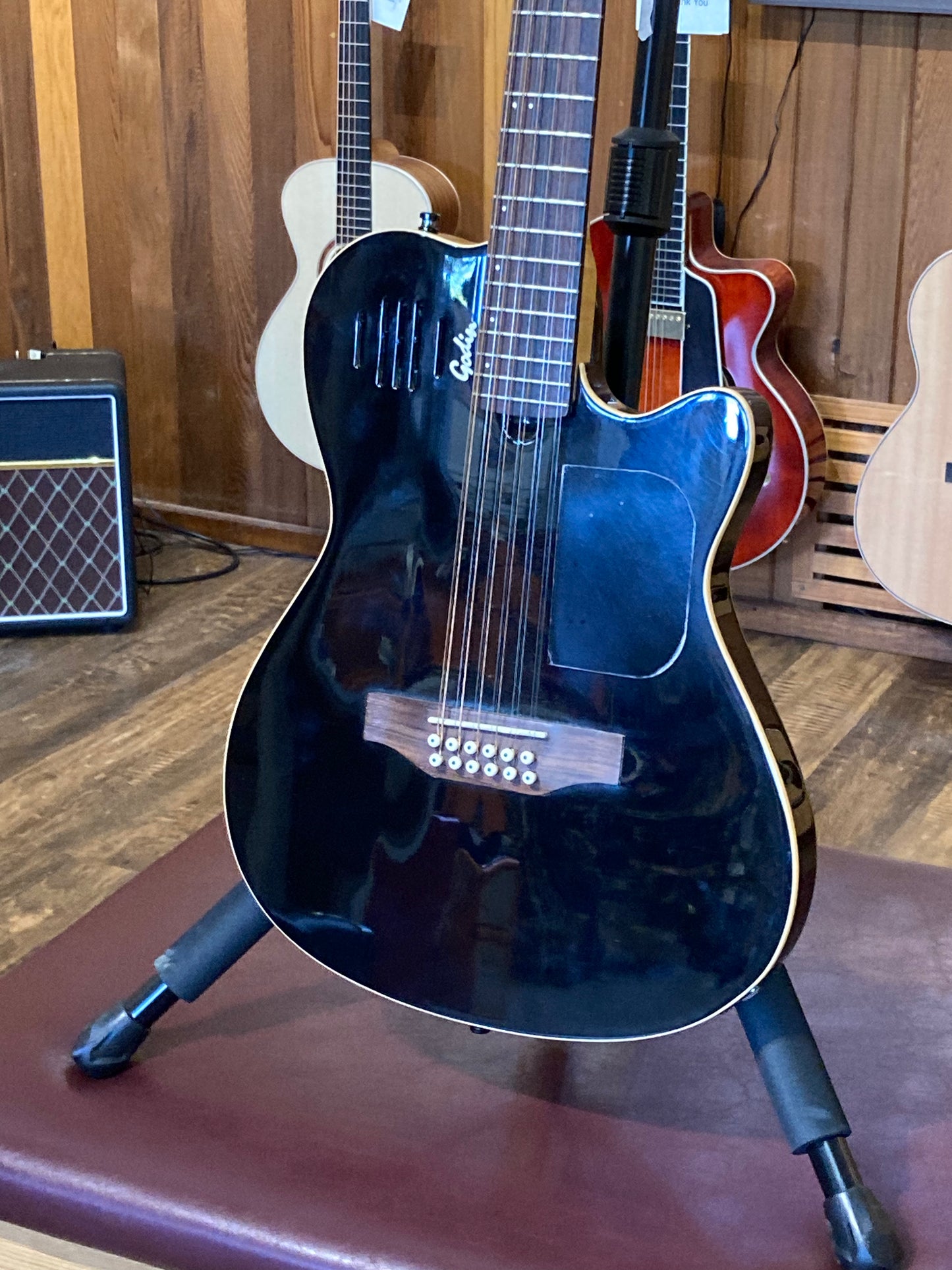 Godin A12 Electric 12-String w/Case - Black (Used)