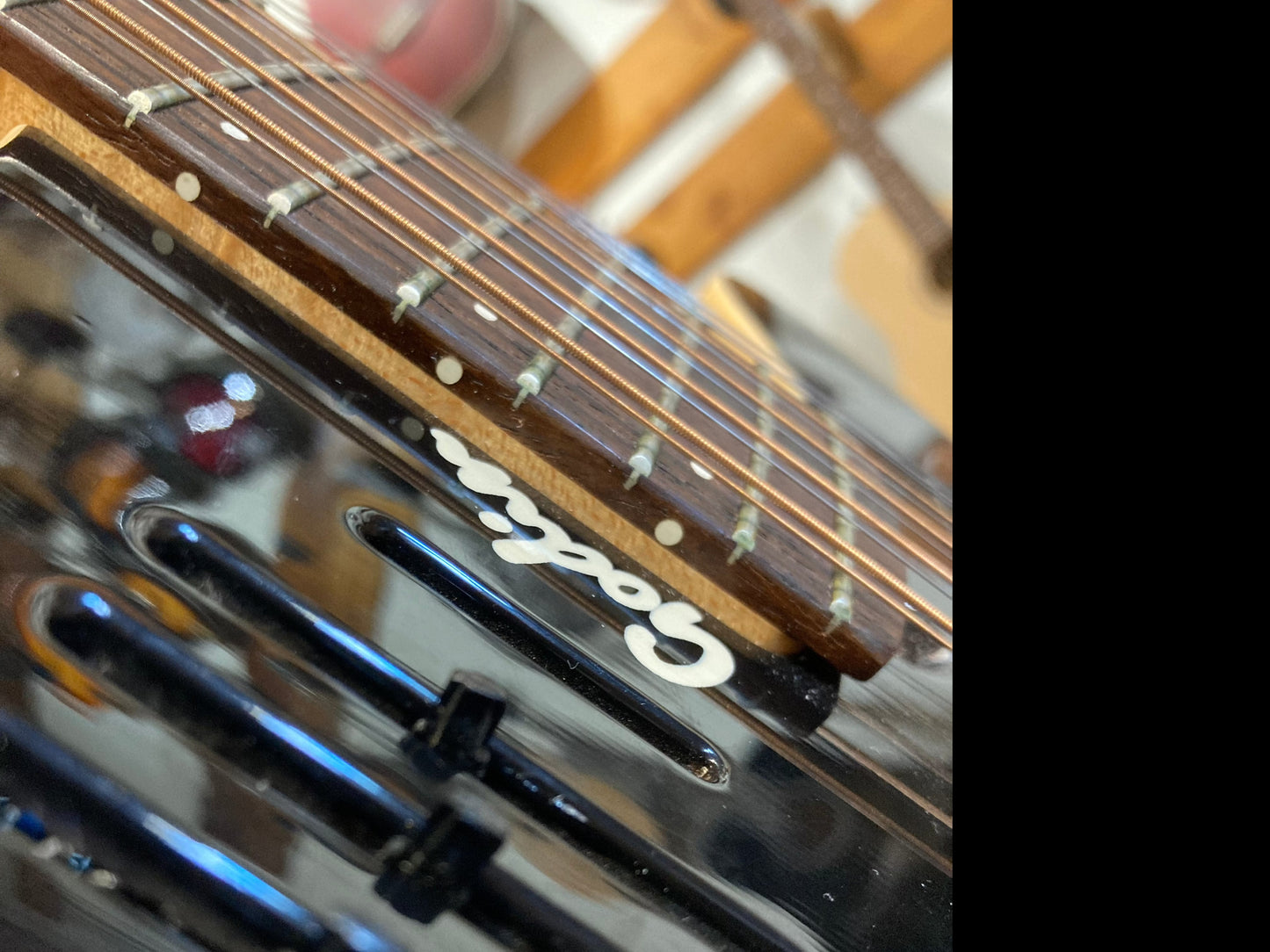 Godin A12 Electric 12-String w/Case - Black (Used)