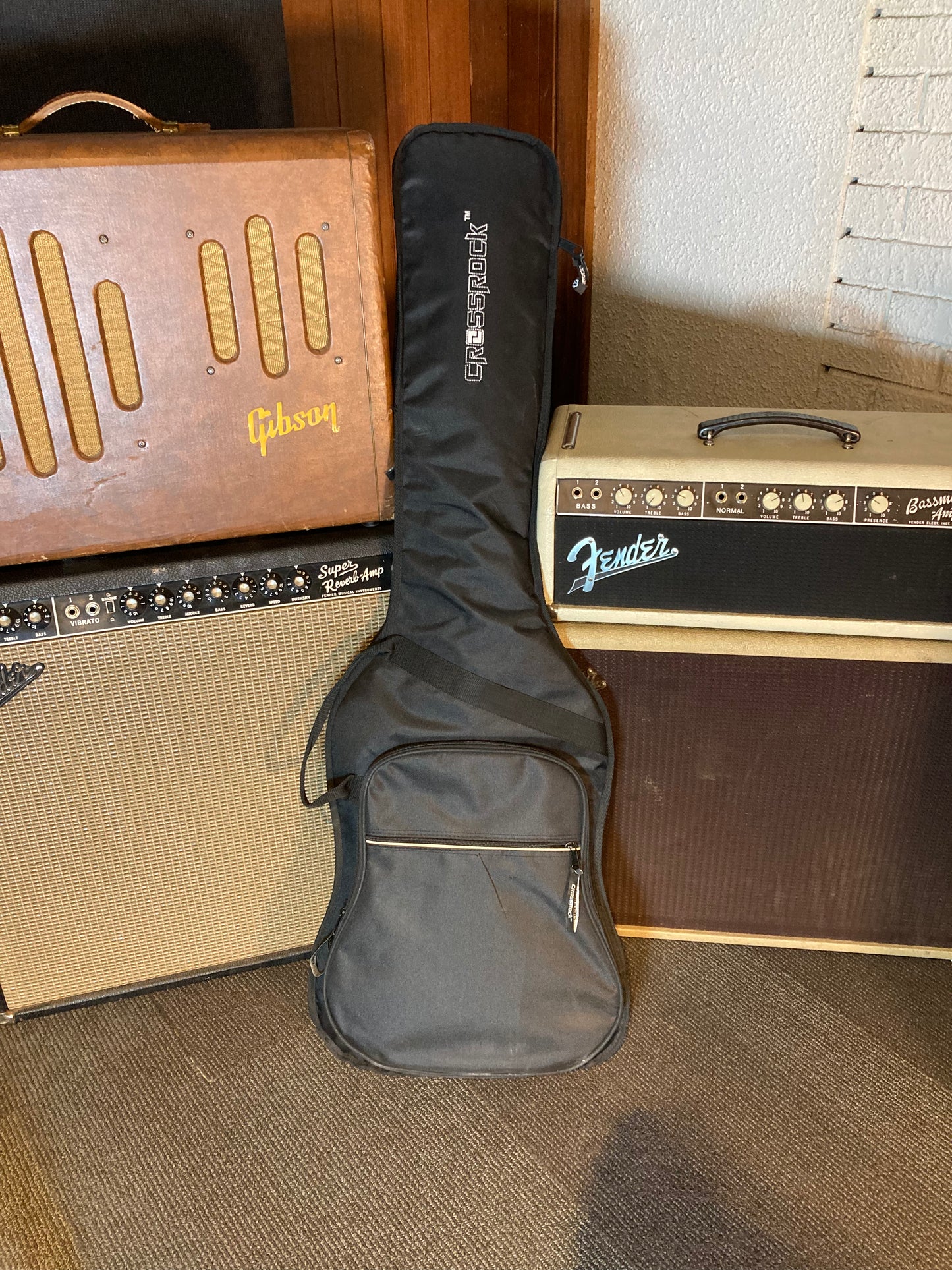 Washburn T12 Taurus Electric Bass w/Gig Bag (Used)