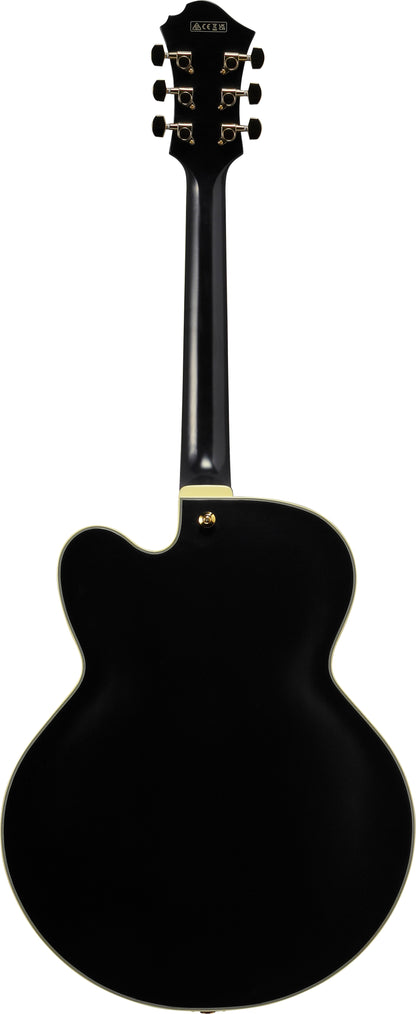 Ibanez PM3C Pat Methen Signature Hollow Body Electric Guitar w/CAse - Black Low Gloss