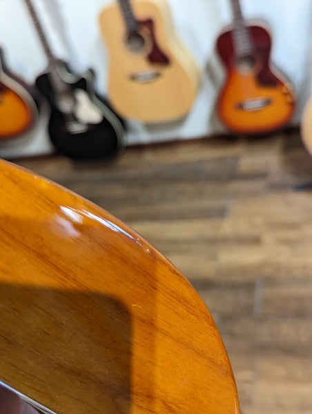 Fender American Performer Telecaster w/Gig Bag - Honeyburst (2021)