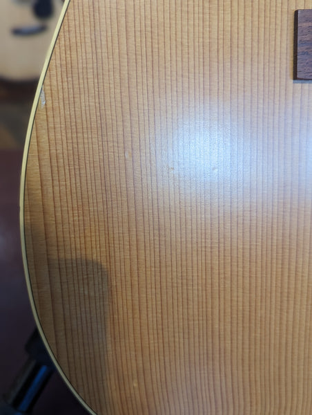 Norman Protégé B18 Cedar 12 String Acoustic Guitar w/Case (Used)