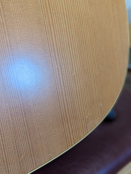 Norman Protégé B18 Cedar 12 String Acoustic Guitar w/Case (Used)