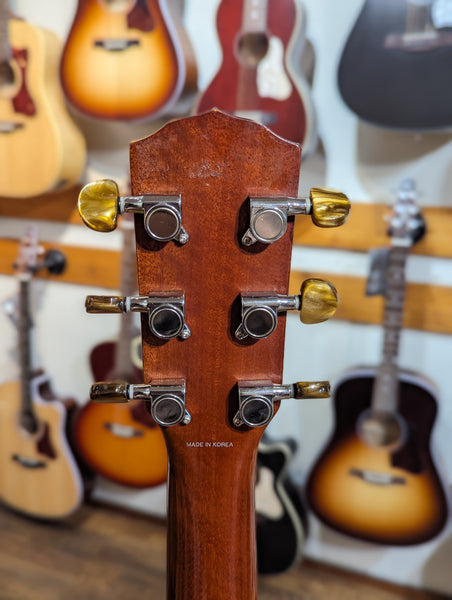 Fender DG-24 Mahogany Acoustic Guitar Made in Korea (1988-1996)