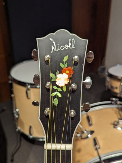 Nicoll Guitars Dreadnought Acoustic Guitar w/Mono Gig Bag (2022)