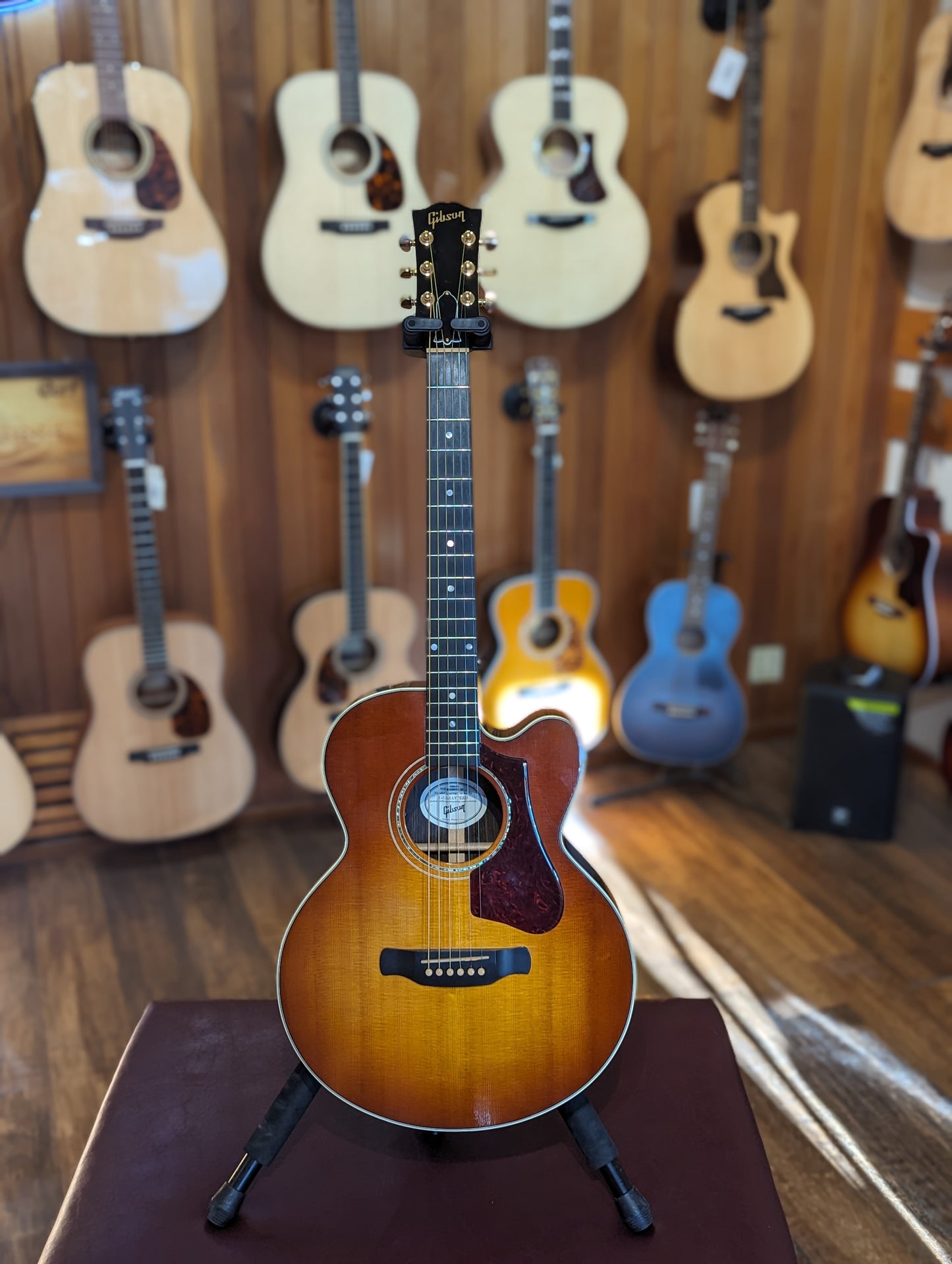 Gibson Parlor Rosewood AG Avant Garde w/Case - Rosewood Burst (2018)
