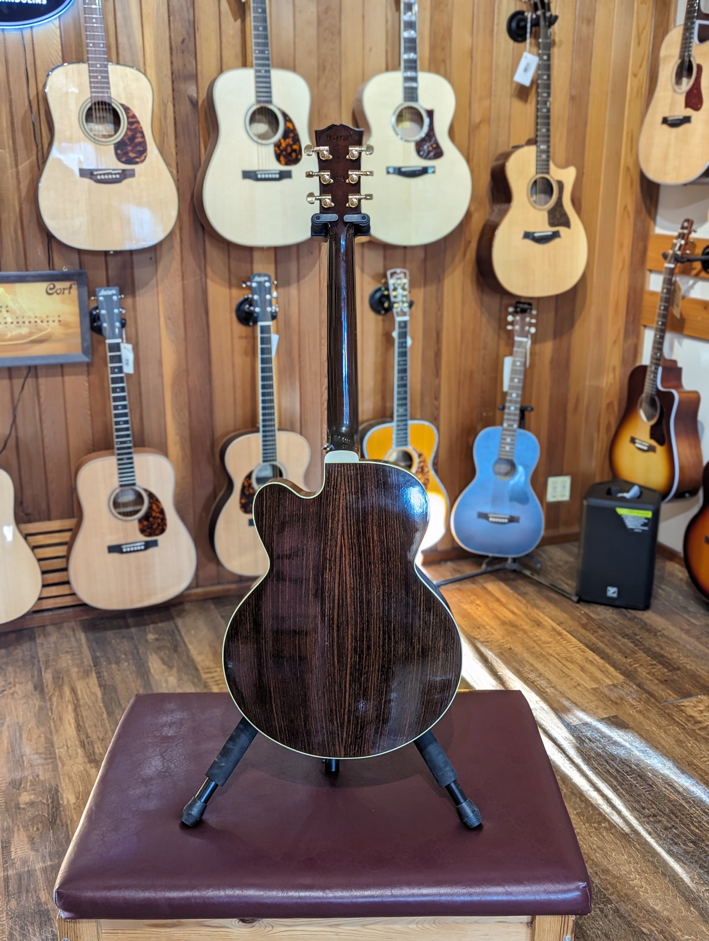 Gibson Parlor Rosewood AG Avant Garde w/Case - Rosewood Burst (2018)