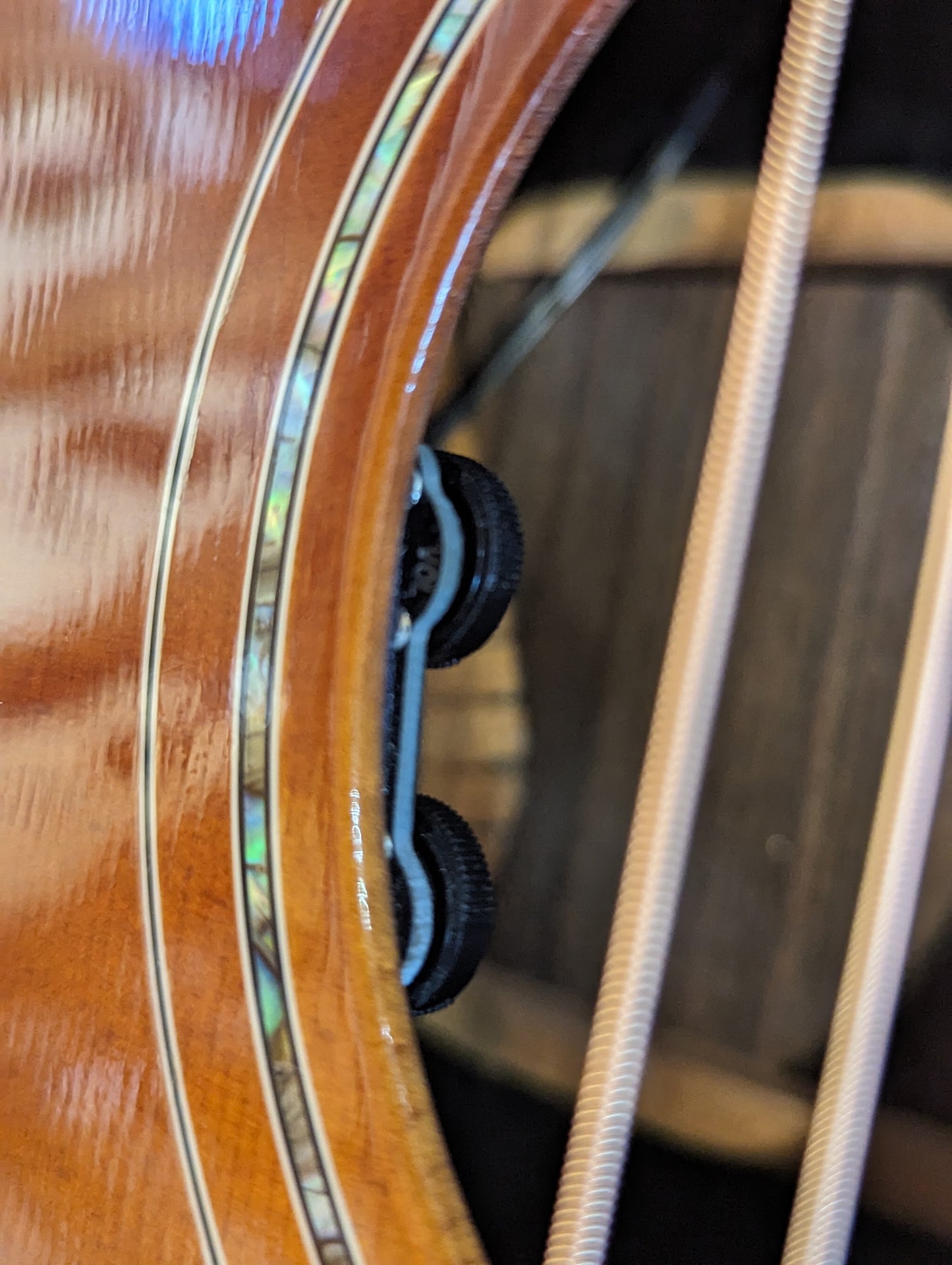 Gibson Parlor Rosewood AG Avant Garde w/Case - Rosewood Burst (2018)