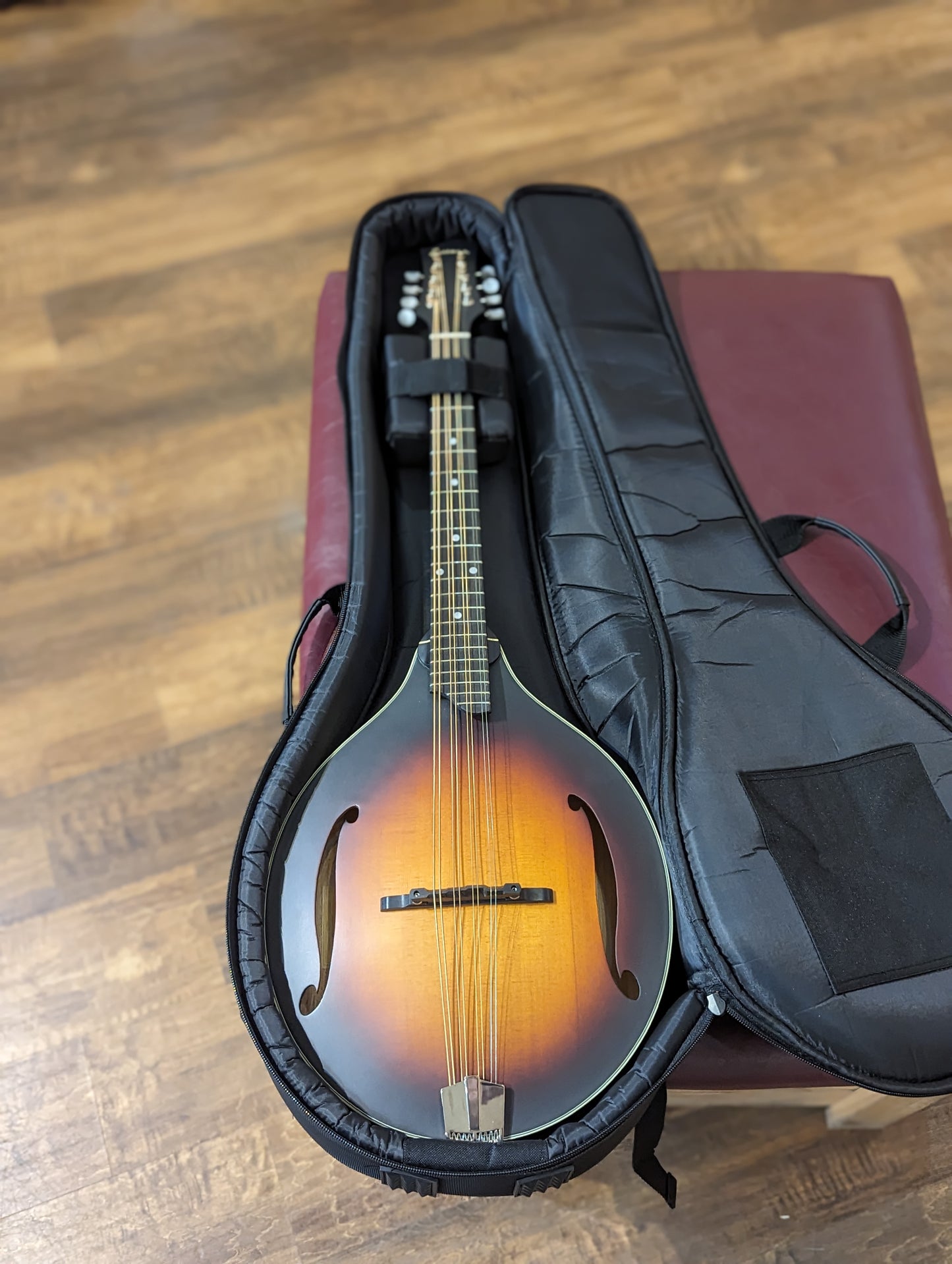 Eastman MDO305E Electric/Acoustic Octave Mandolin w/Gig Bag - Sunburst