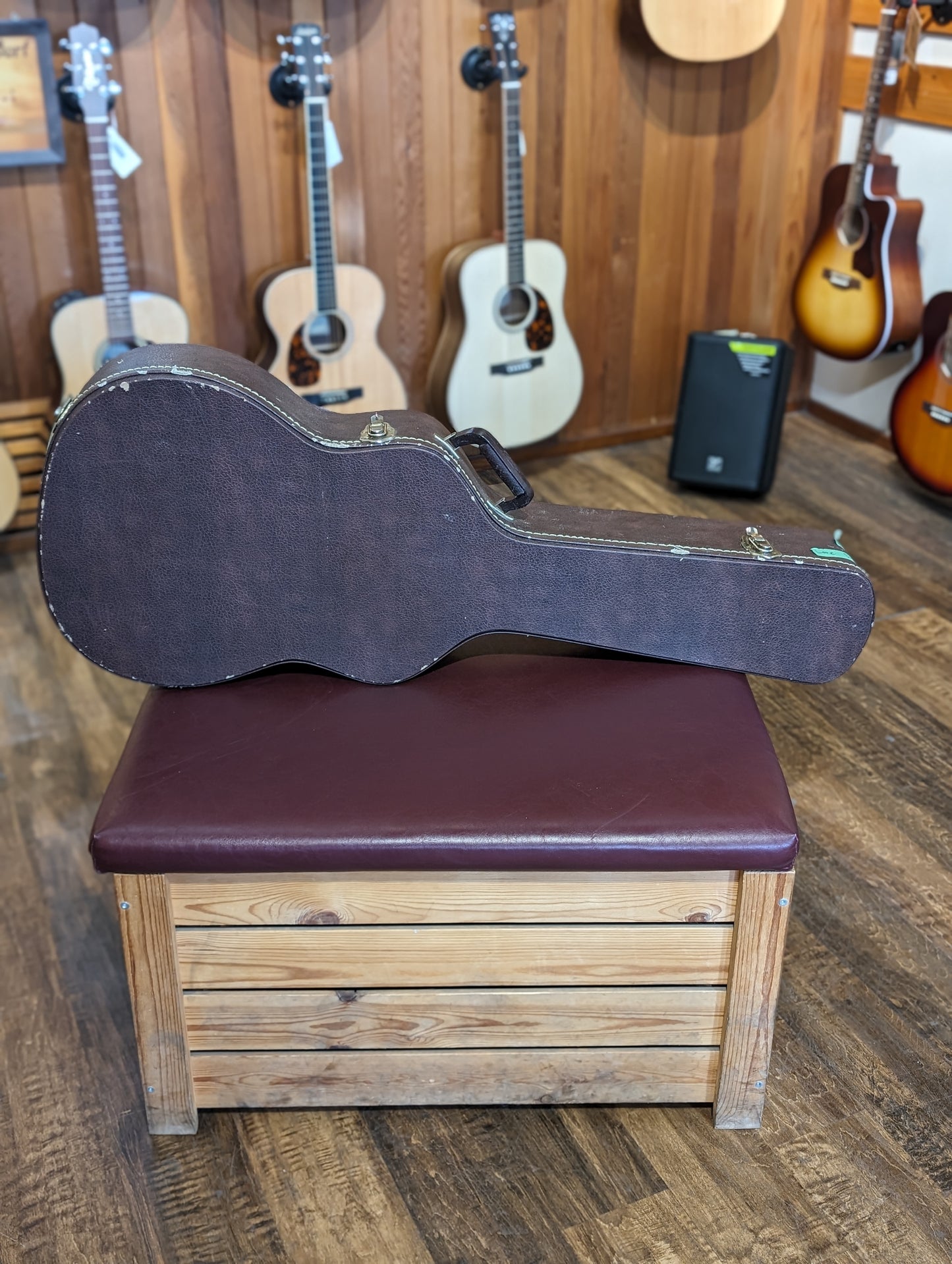 Seagull Amber Trail CW Folk SG EQ Acoustic/Electric Guitar w/Case (Used)