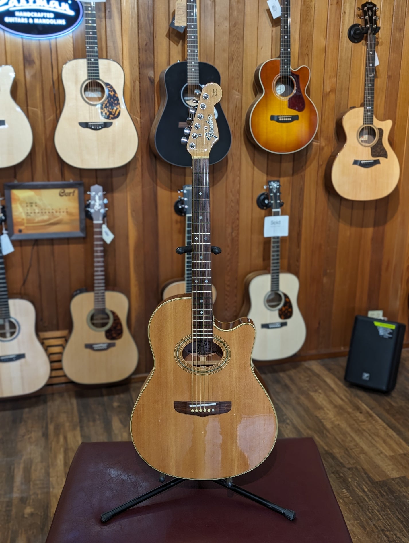 Fender Montara Acoustic/Electric Guitar (19881996) Acoustic Music Shop