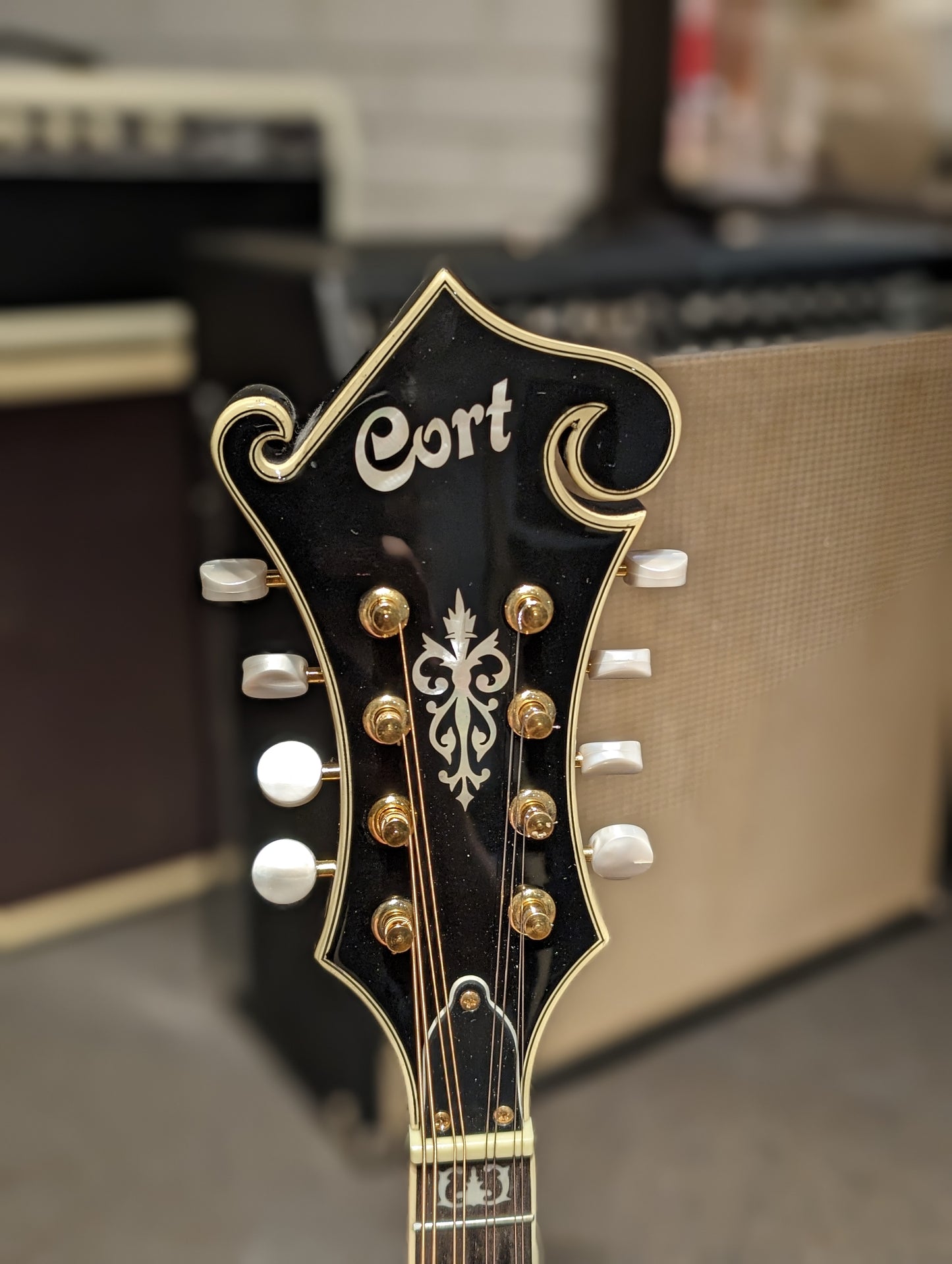 Cort CM-F300E F-Style Acoustic/Electric Mandolin w/Case (Used)