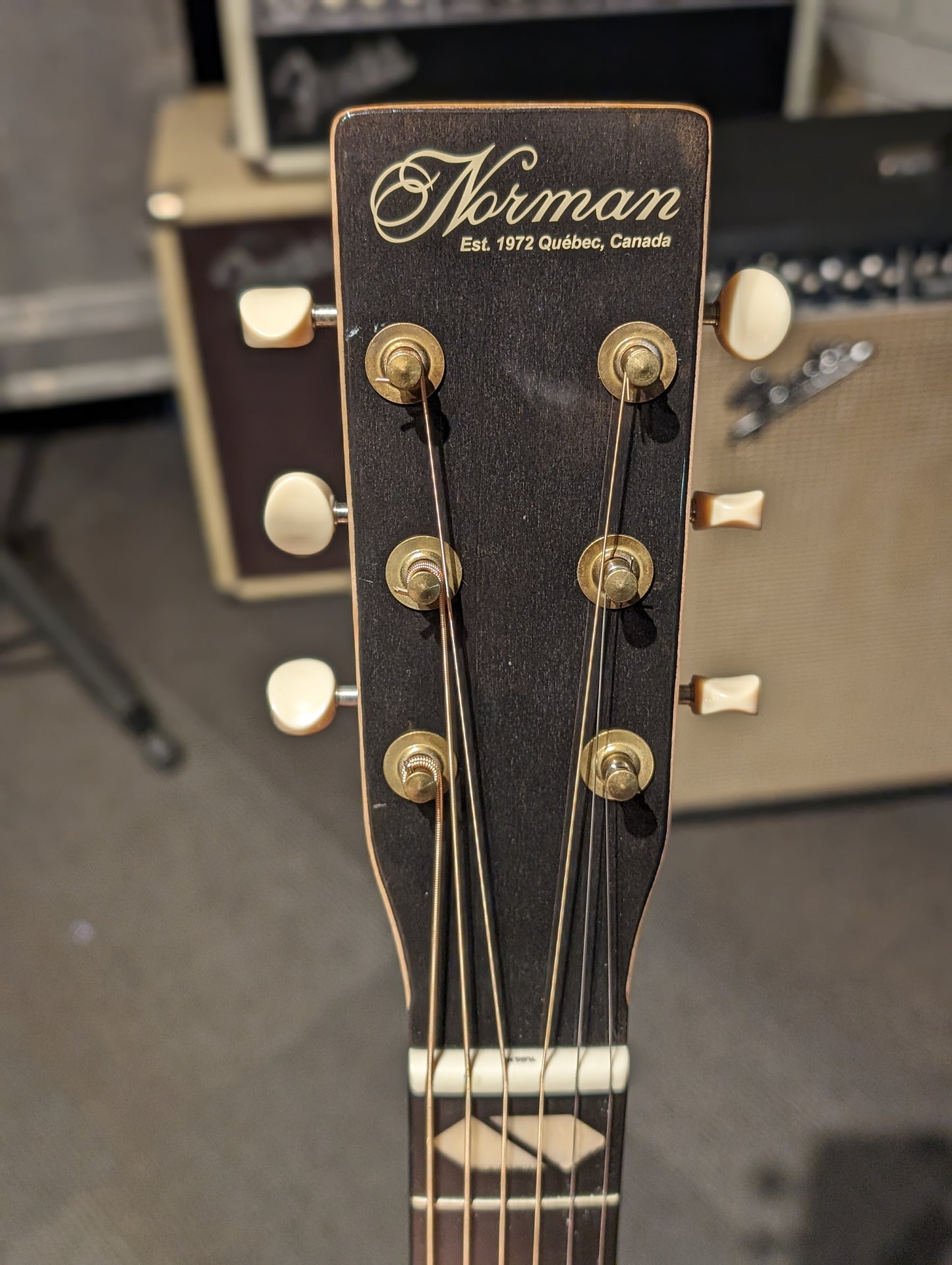 Norman ST40 CW Natural HG Element SF w/ Gigbag (Used)